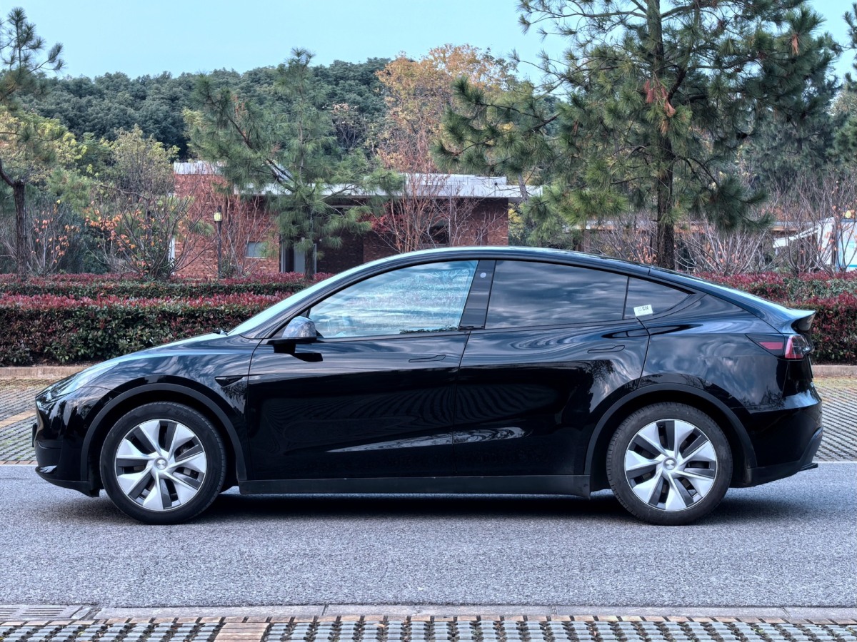  特斯拉 Model Y 2022款 后輪驅(qū)動版圖片