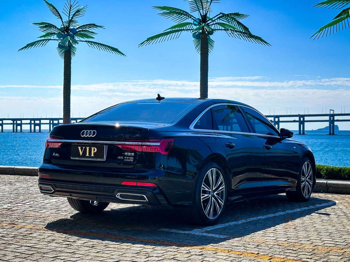 奧迪 奧迪A6L  2021款 45 TFSI 臻選動感型圖片