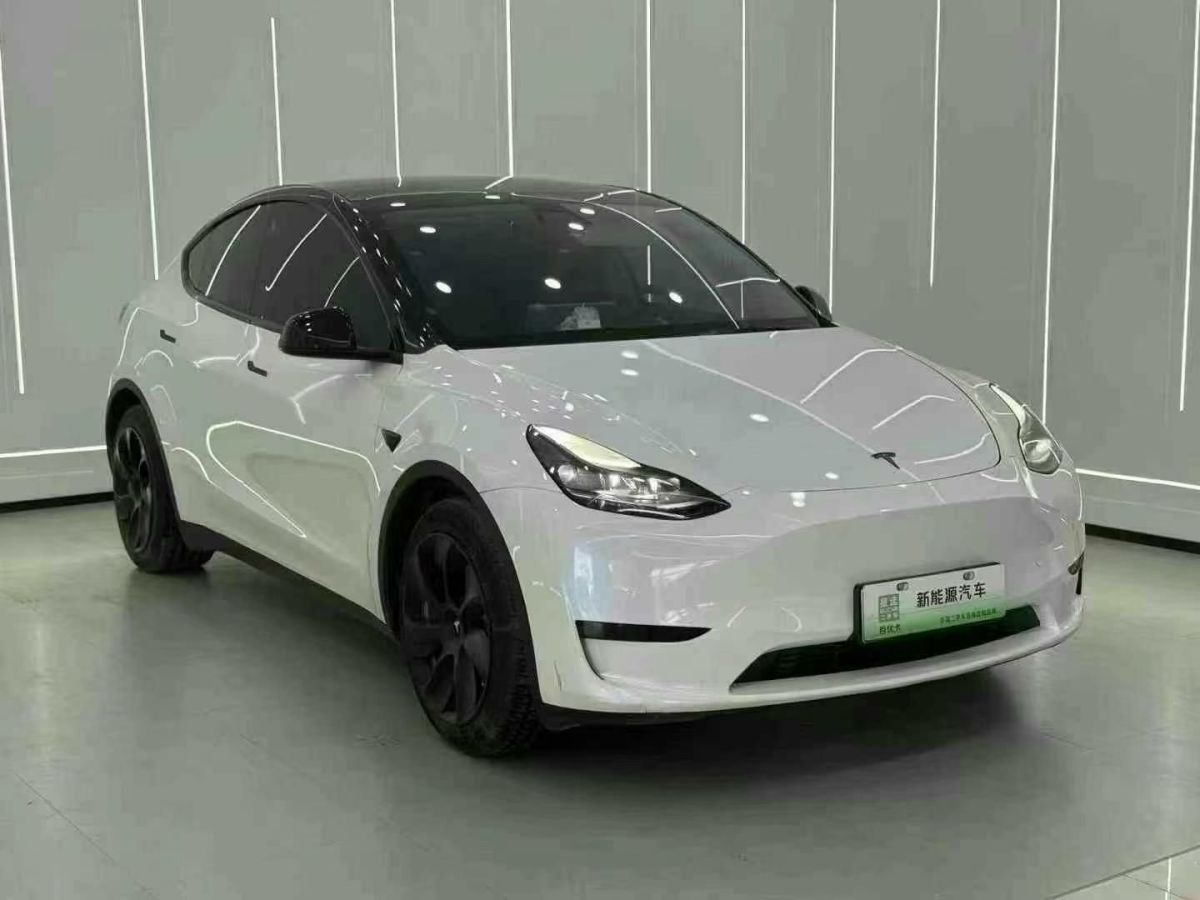 特斯拉 Model 3  2022款 Performance高性能全輪驅(qū)動(dòng)版圖片