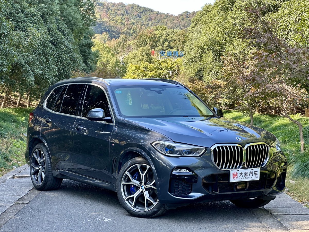 寶馬 寶馬X5  2019款 xDrive40i 尊享型 M運動套裝圖片