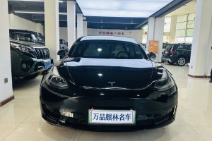 Model 3 特斯拉 改款 后轮驱动版