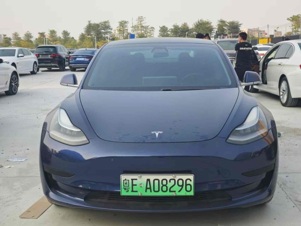 特斯拉 Model 3  2019款 标准续航后驱升级版