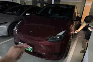 Model Y 特斯拉 Performance高性能全輪驅(qū)動(dòng)版