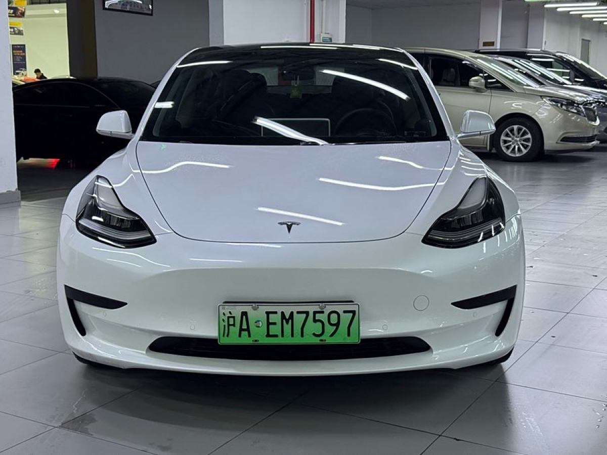 特斯拉 Model 3  2020款 改款 標(biāo)準(zhǔn)續(xù)航后驅(qū)升級版圖片