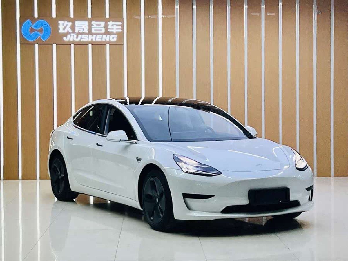 特斯拉 Model 3  2020款 改款 標(biāo)準(zhǔn)續(xù)航后驅(qū)升級版圖片