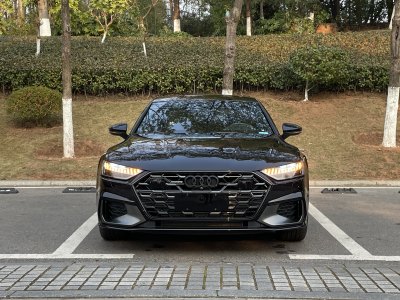 2024年9月 奧迪 奧迪A7L 45 TFSI quattro 黑武士版圖片