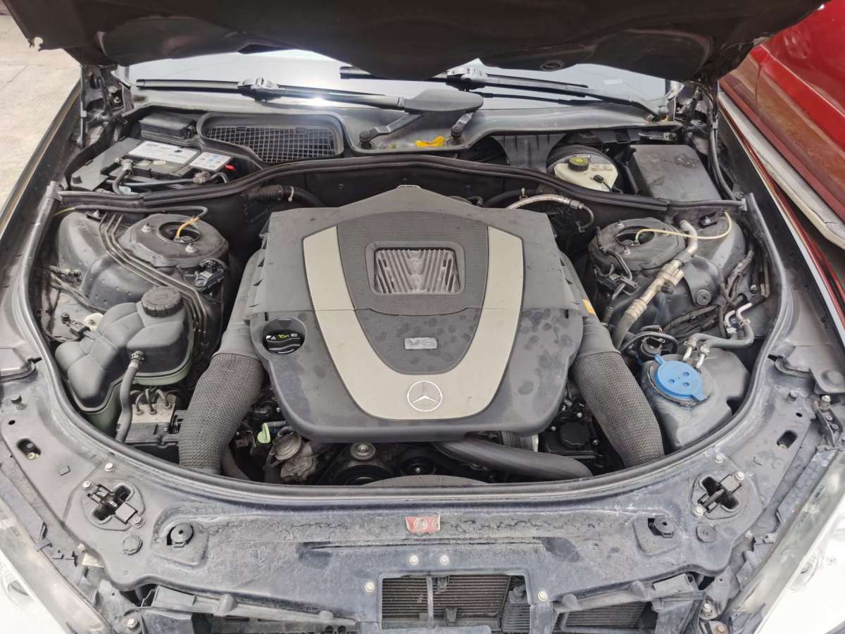 奔驰 奔驰S级  2008款 S 300 L 豪华型图片
