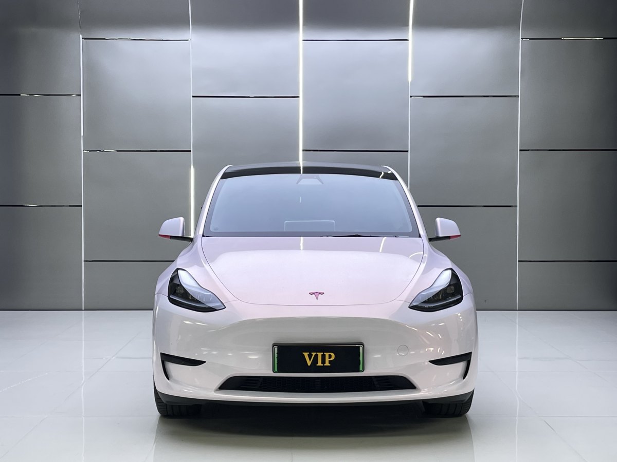 特斯拉 Model Y  2022款 后輪驅(qū)動版圖片