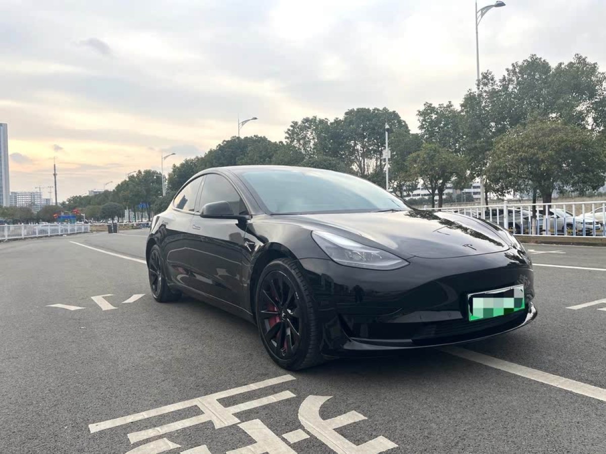 特斯拉 Model 3  2022款 后輪驅(qū)動版圖片