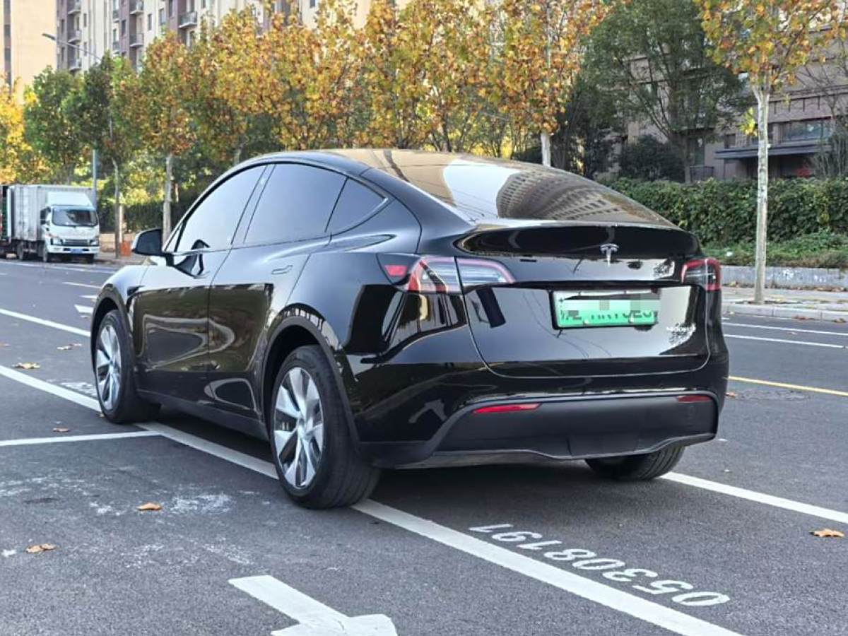 特斯拉 Model 3  2023款 長續(xù)航煥新版 雙電機(jī)全輪驅(qū)動圖片