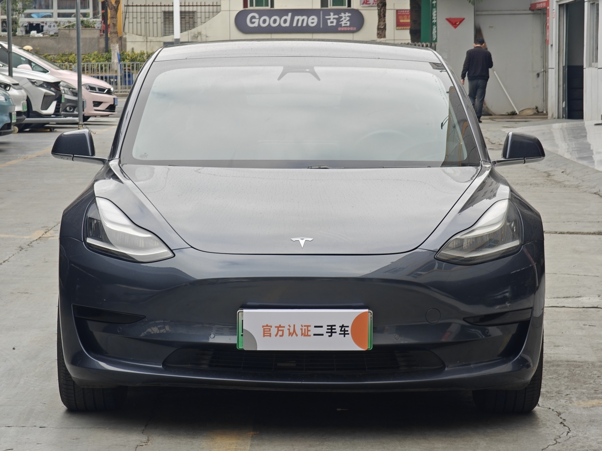 特斯拉 Model 3  2019款 標(biāo)準(zhǔn)續(xù)航后驅(qū)升級(jí)版圖片