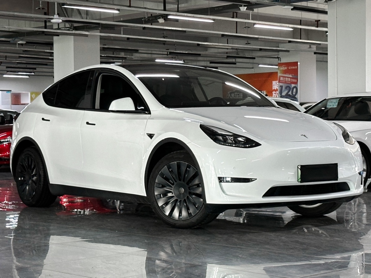 特斯拉 Model 3  2022款 改款 長續(xù)航全輪驅(qū)動(dòng)版圖片