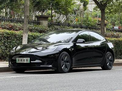 2019年12月 特斯拉 Model 3 標準續(xù)航后驅(qū)升級版圖片