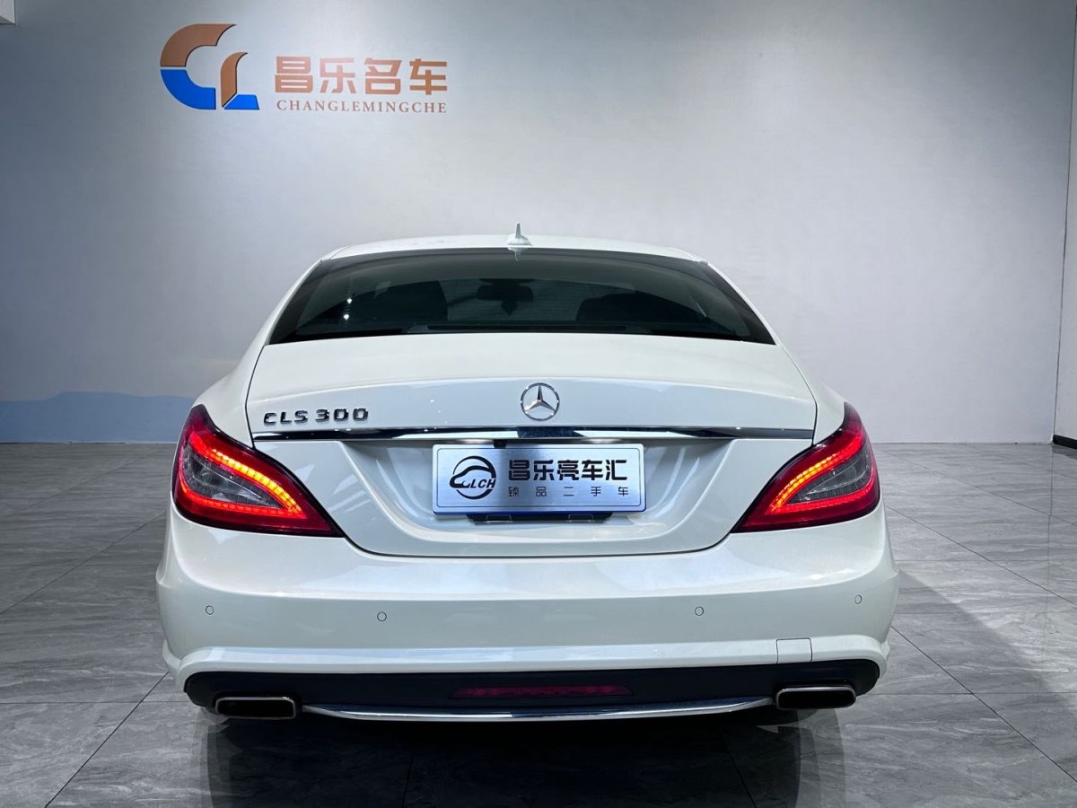 奔馳 奔馳CLS級(jí)  2012款 CLS 300 CGI圖片