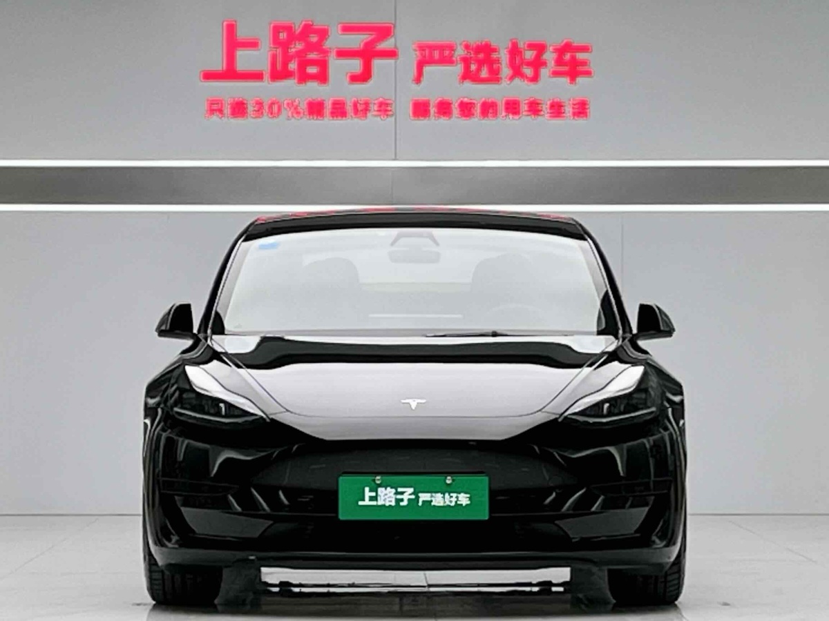 特斯拉 Model 3  2021款 標(biāo)準(zhǔn)續(xù)航后驅(qū)升級版 3D6圖片