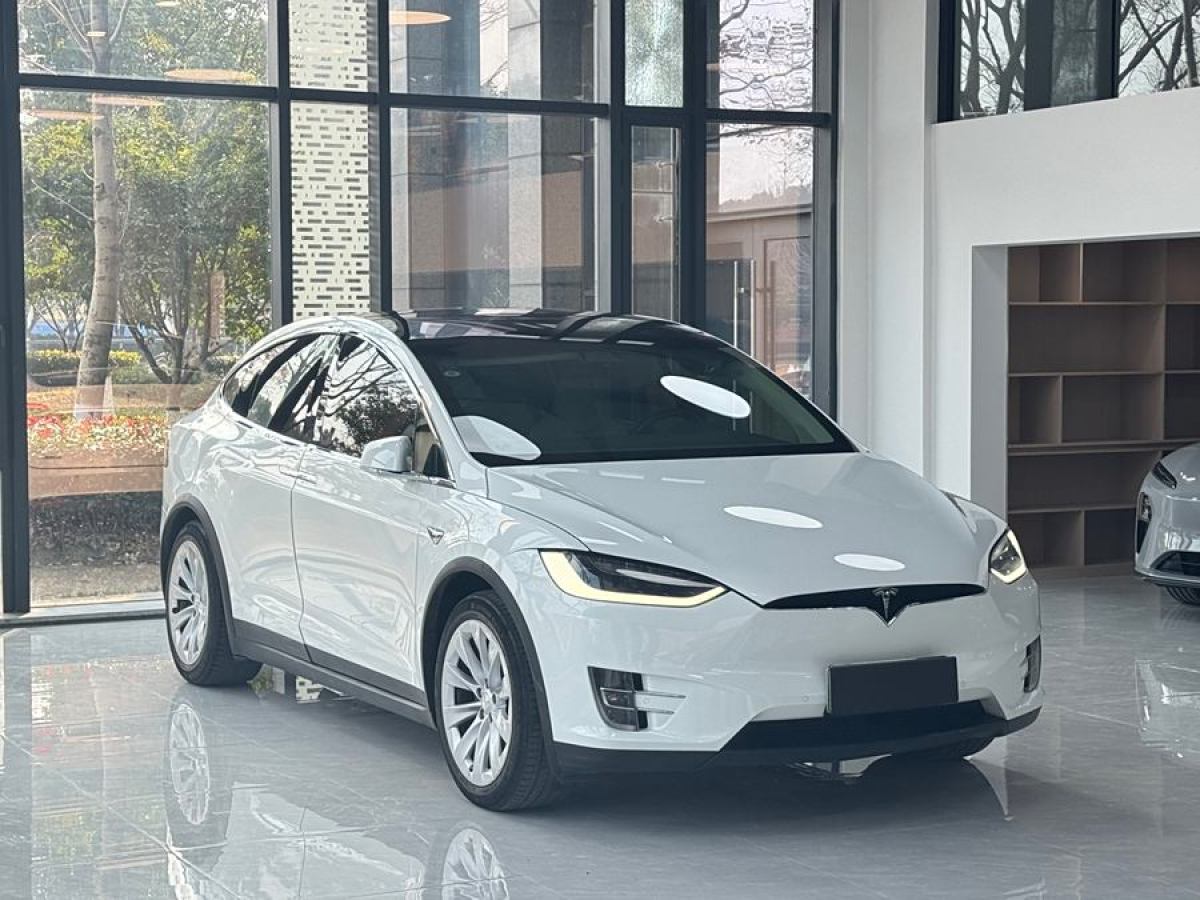 特斯拉 Model X  2017款 Model X 100D 長續(xù)航版圖片