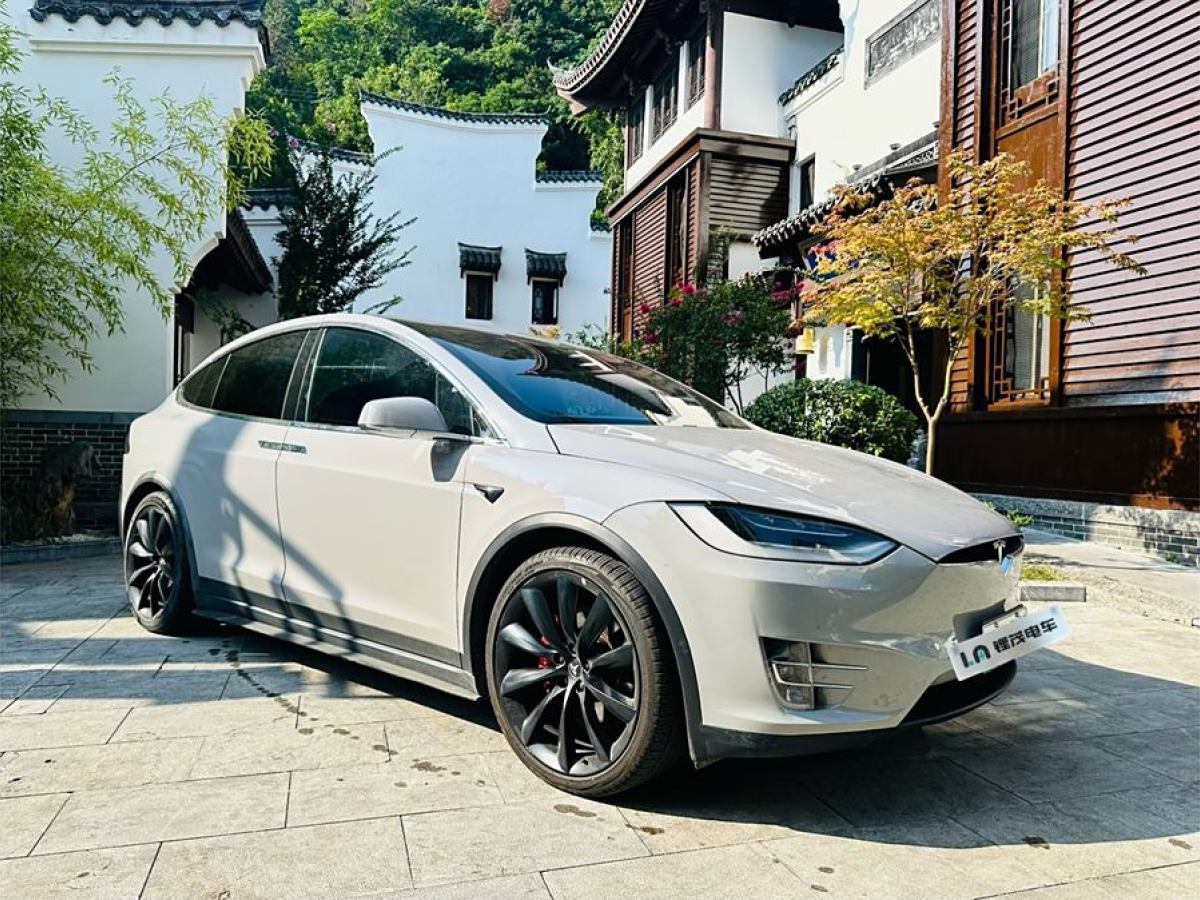 特斯拉 Model X  2019款 長續(xù)航版圖片