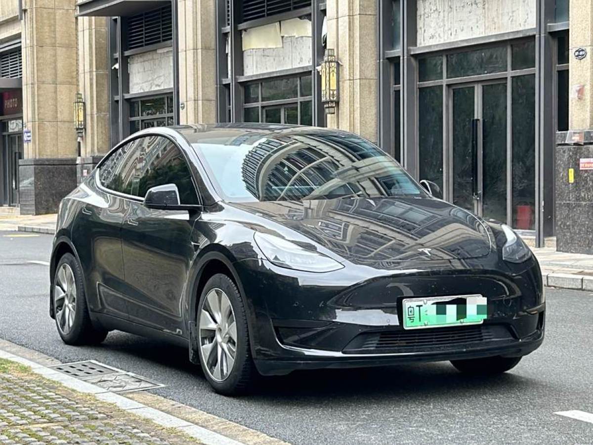 特斯拉 Model 3  2022款 后輪驅(qū)動(dòng)版圖片