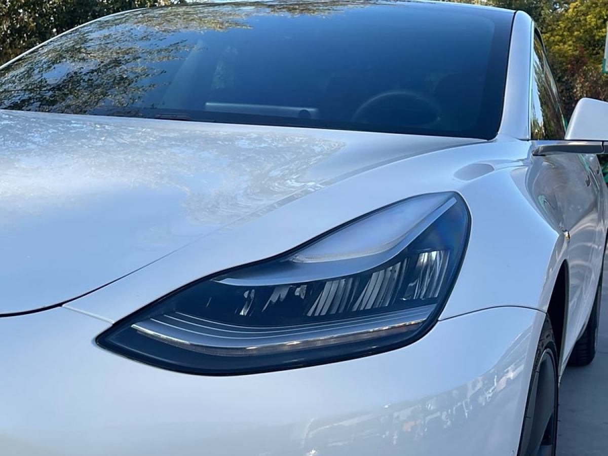 特斯拉 Model 3  2019款 標準續(xù)航后驅升級版圖片