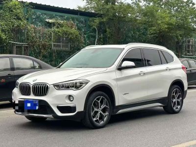 2017年1月 寶馬 寶馬X1新能源 xDrive25Le圖片