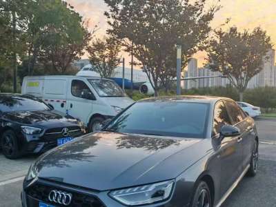 2022年3月 奧迪 奧迪A4L 40 TFSI 豪華動感型圖片