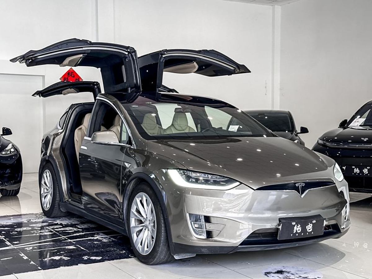 特斯拉 Model X  2016款 Model X 90D圖片