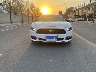 2018年5月 福特 Mustang(進口) 2.3T 性能版圖片