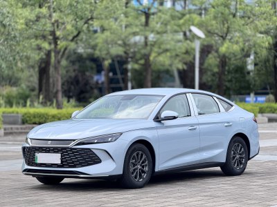 2025年5月 比亞迪 秦L DM-i 智駕版 80KM領(lǐng)先型圖片