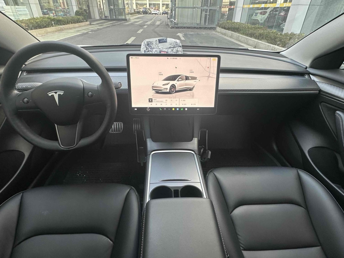 特斯拉 Model 3  2019款 Performance高性能全輪驅(qū)動版圖片