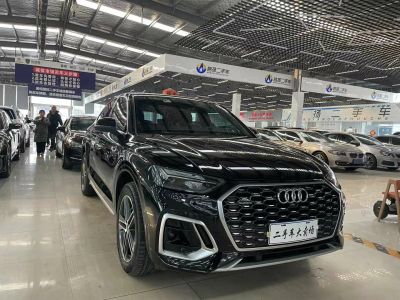 2022年1月 奧迪 奧迪Q5 e-tron 40 e-tron 星耀型 機(jī)甲套裝圖片