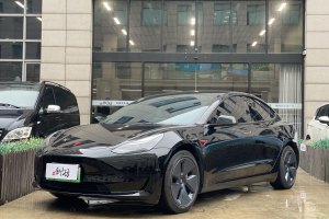 Model 3 特斯拉 标准续航后驱升级版