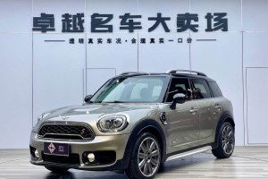COUNTRYMAN MINI 2.0T COOPER S ALL4 藝術(shù)家