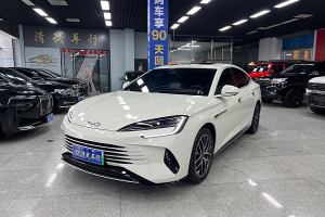 海豹 比亚迪 DM-i 1.5L 121km 豪华型