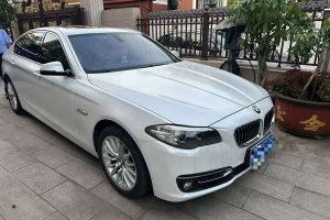 寶馬5系 寶馬 525Li 豪華設(shè)計套裝