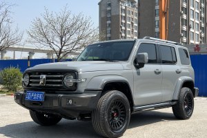 坦克300 坦克 城市版 2.0T 很有型