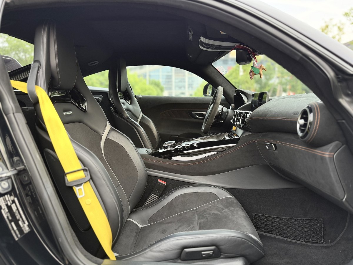 奔馳 奔馳AMG GT  2019款 AMG GT R圖片