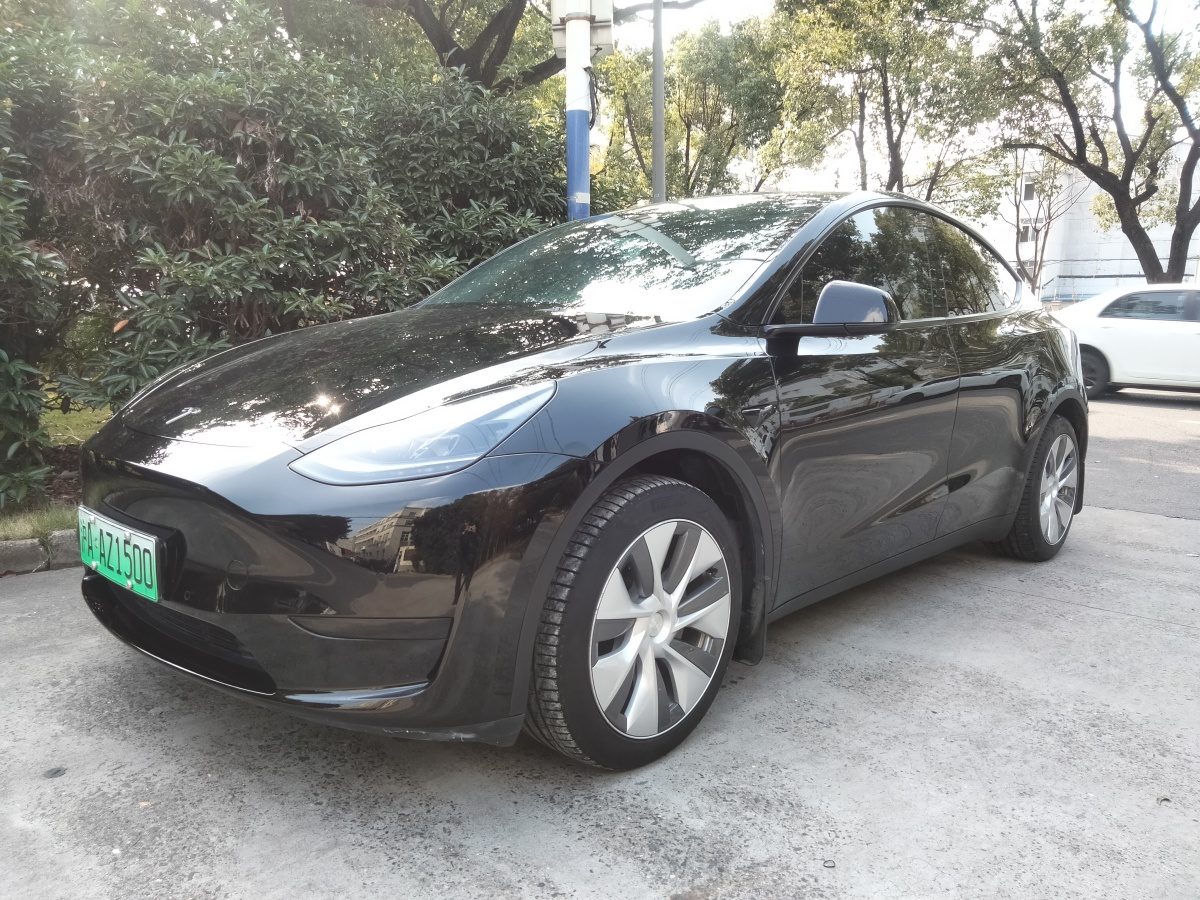 特斯拉 Model 3  2022款 后輪驅(qū)動(dòng)版圖片