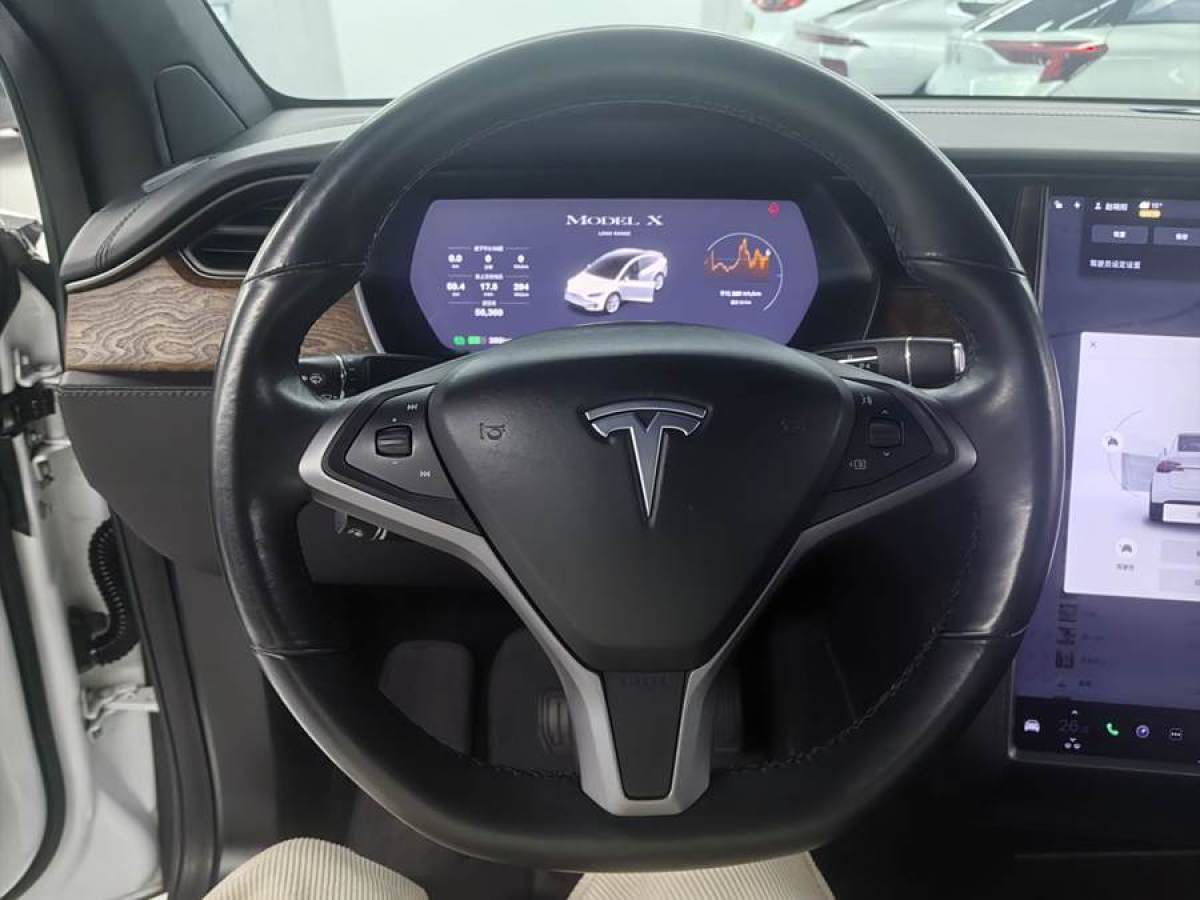 特斯拉 Model X  2019款 長續(xù)航版圖片