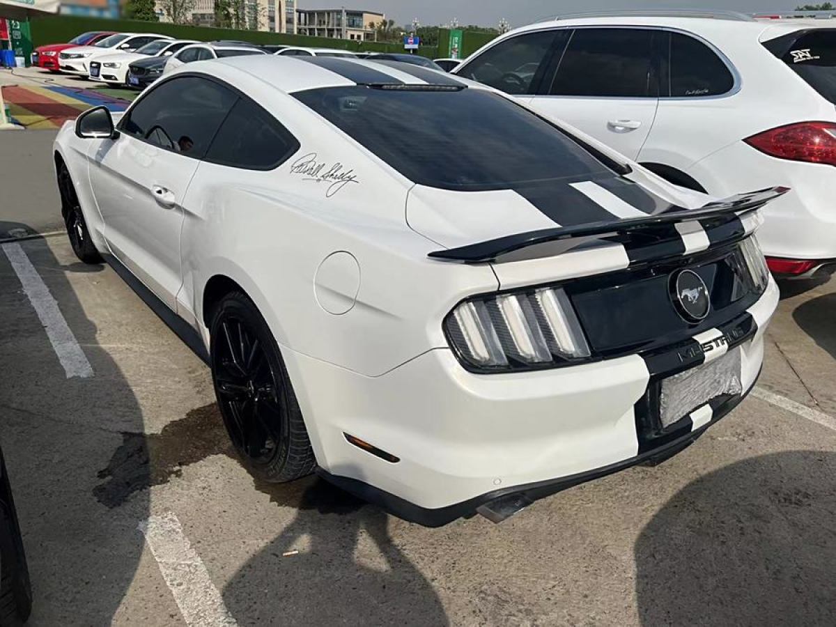 福特 Mustang  2015款 2.3T 性能版圖片