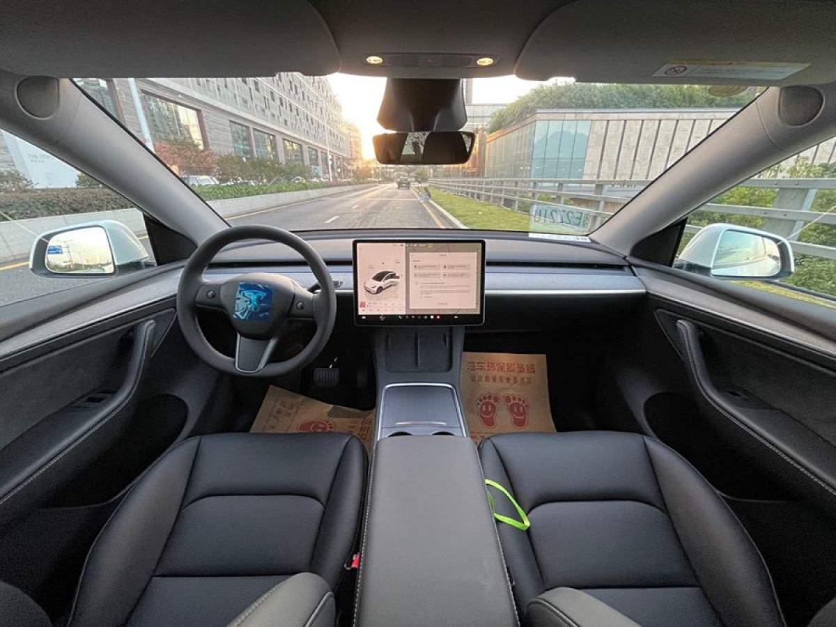 特斯拉 Model Y  2020款 改款 長續(xù)航后輪驅(qū)動版圖片