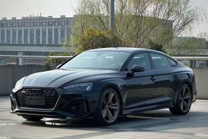 奧迪RS 5 奧迪 RS 5 2.9T Coupe 常規(guī)版
