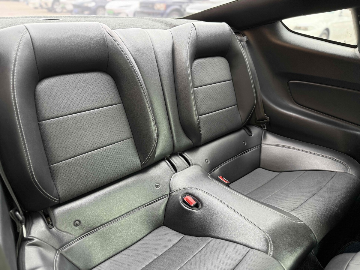 福特 Mustang  2019款 2.3L EcoBoost圖片