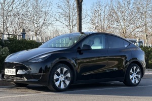 Model Y 特斯拉 標(biāo)準(zhǔn)續(xù)航后驅(qū)版