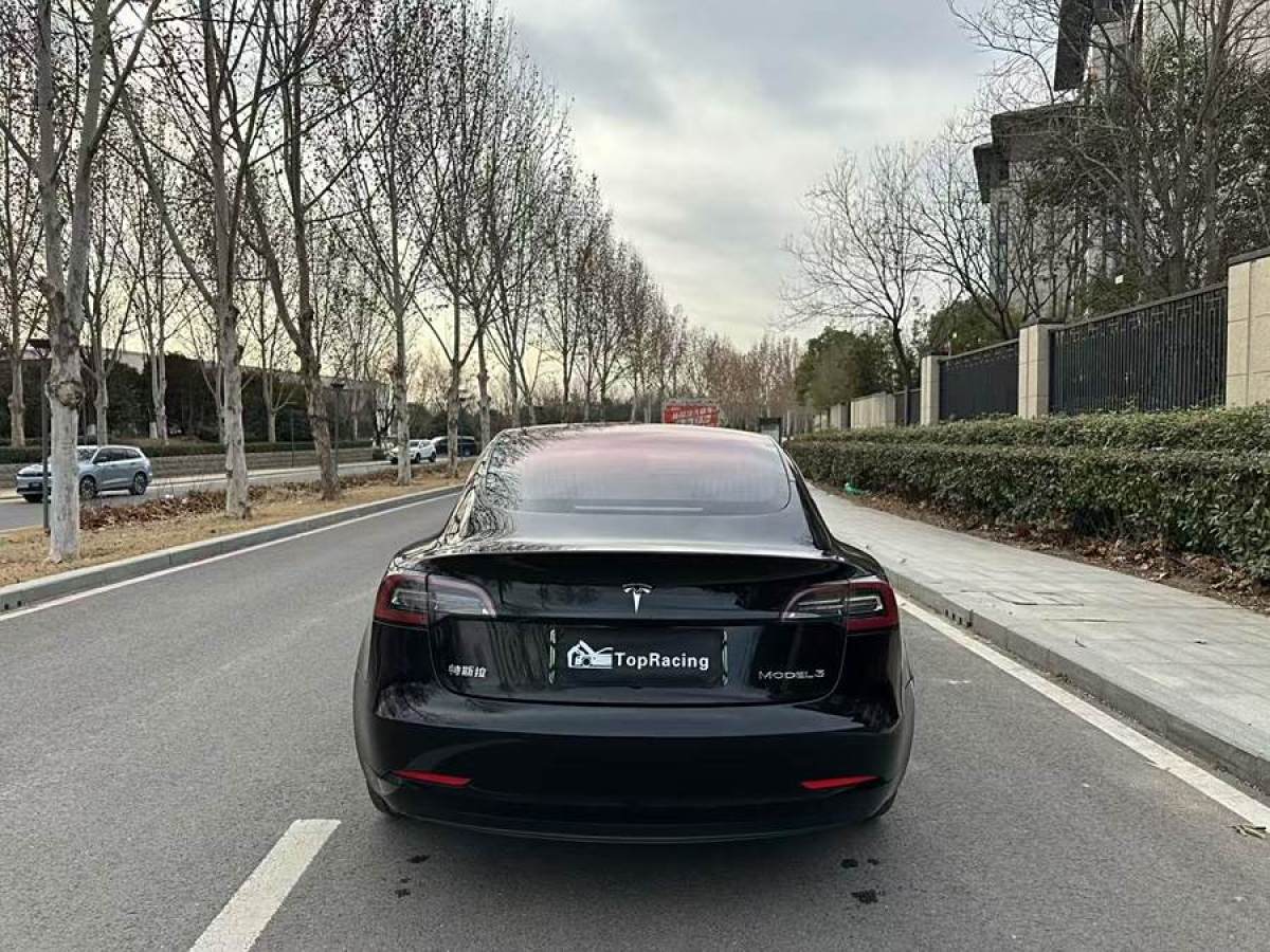 特斯拉 Model 3  2019款 長續(xù)航后驅(qū)版圖片