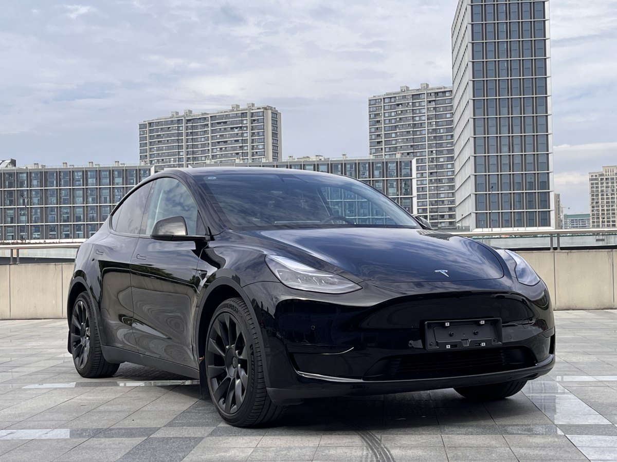 特斯拉 Model Y  2022款 后輪驅(qū)動(dòng)版圖片