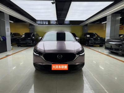 2020年11月 馬自達(dá) CX-30 2.0L 自動質(zhì)悅型圖片