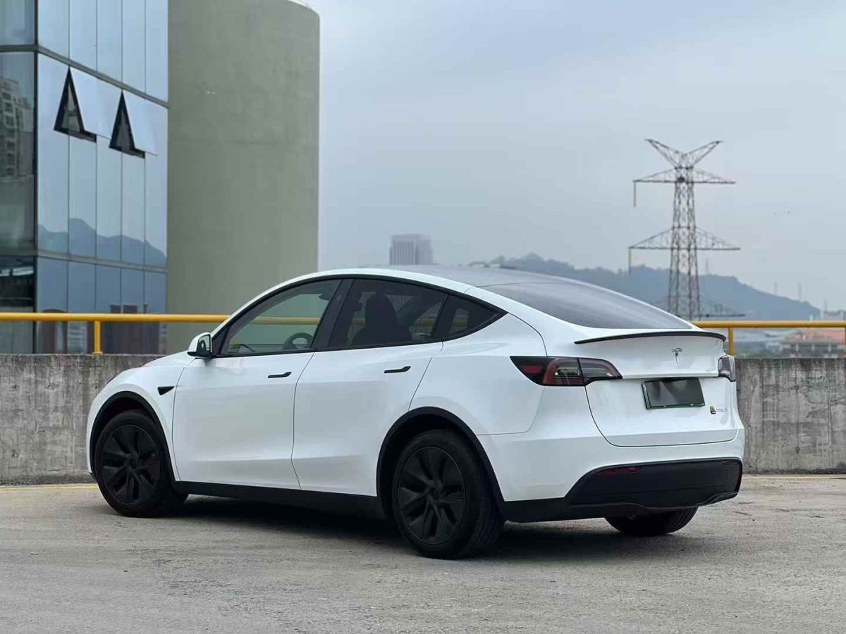 特斯拉 Model Y  2024款 Performance高性能版圖片