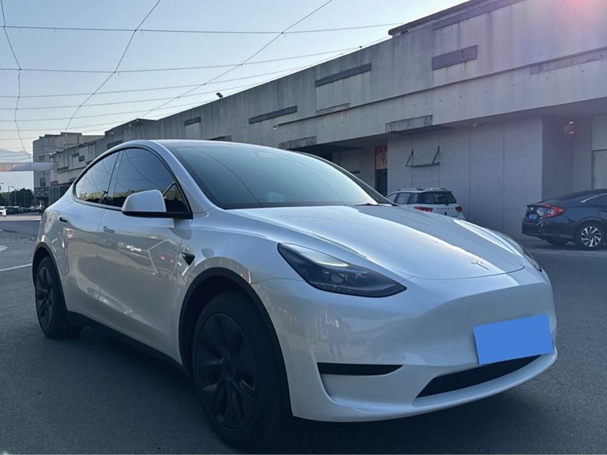 特斯拉 Model 3  2020款 改款 長續(xù)航后輪驅(qū)動(dòng)版圖片