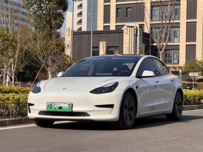 2021年2月 特斯拉 Model 3 標(biāo)準(zhǔn)續(xù)航后驅(qū)升級版 3D6圖片