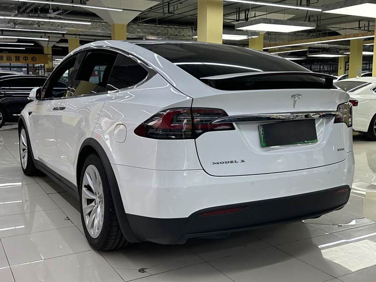 2019年7月特斯拉 Model X  2019款 長(zhǎng)續(xù)航版